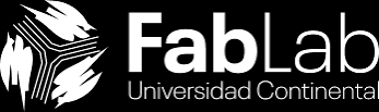 Programa Fellowship